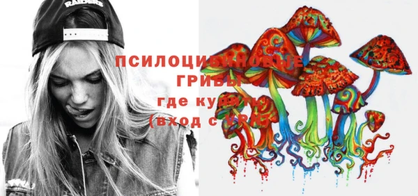 спиды Алзамай