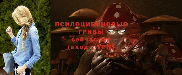 твердый Козельск