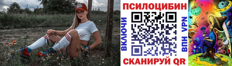 наркота  Боровичи  Галлюциногенные грибы Psilocybine cubensis 