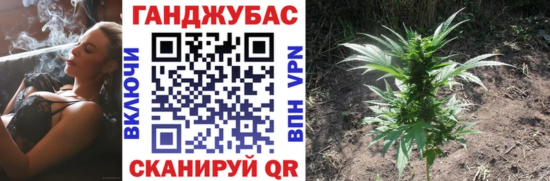 хочу   Боровичи  Каннабис семена 
